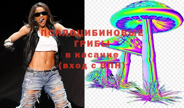 гашик Армянск