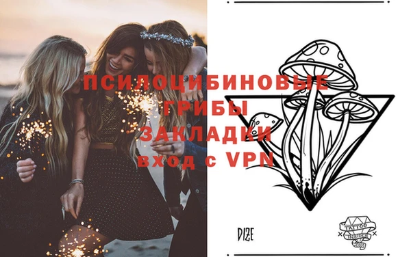 герыч Алексин