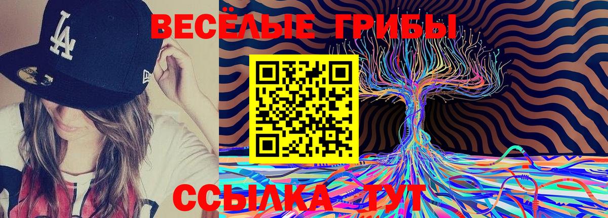 Новороссийск  Псилоцибиновые грибы MAGIC MUSHROOMS  Псилоцибиновые грибы Psilocybe  Вход с VPN 