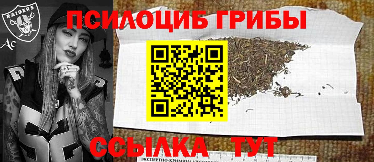 Псилоцибиновые грибы мухоморы Новороссийск